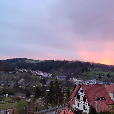 Feriendomizil Am Hochwald Διαμέρισμα Dippoldiswalde Εξωτερικό φωτογραφία